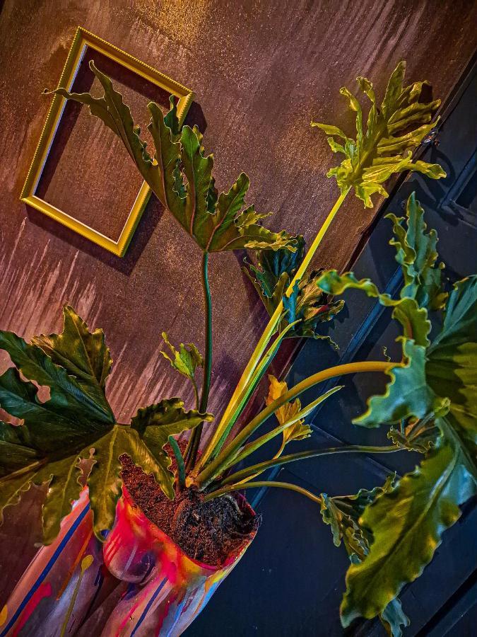 Urban Hostal Bar بوكارامانغا المظهر الخارجي الصورة